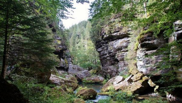 Jetřichovice, Vlčí Hora, Kyjov valley