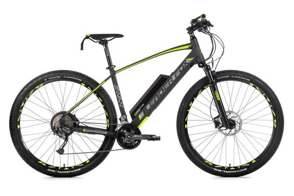 Mountain bike SWAN 29, frame 21,5, gray matt/ green