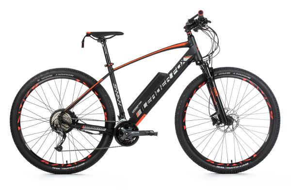 E-Mountainbike SWAN 29